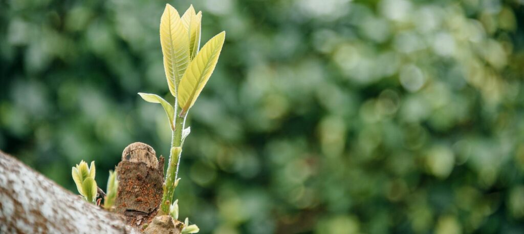 If I Had to Start Over at 25 with No Money, This Is What I’d Do