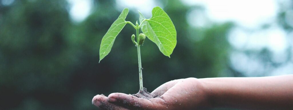 If I Had to Start Over at 25 with No Money, This Is What I’d Do