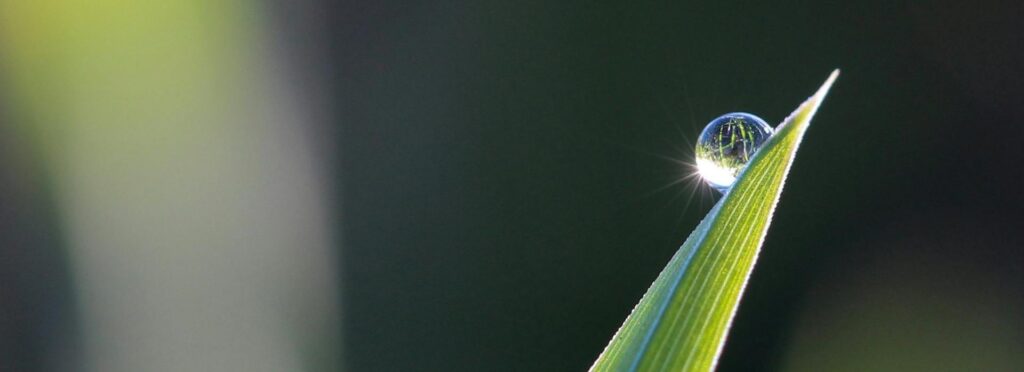 If I Had to Start Over at 25 with No Money, This Is What I’d Do