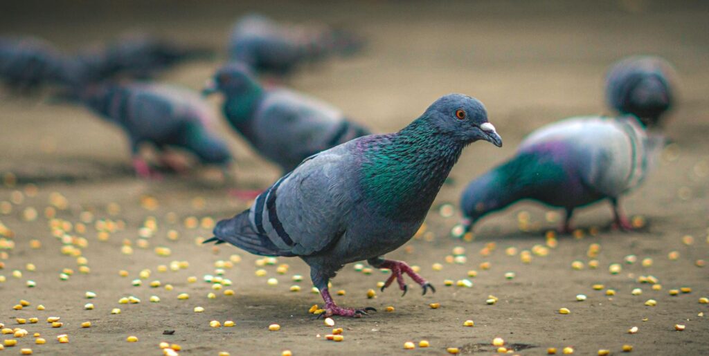 My Morning Routine as a Founder, Author, and Consultant