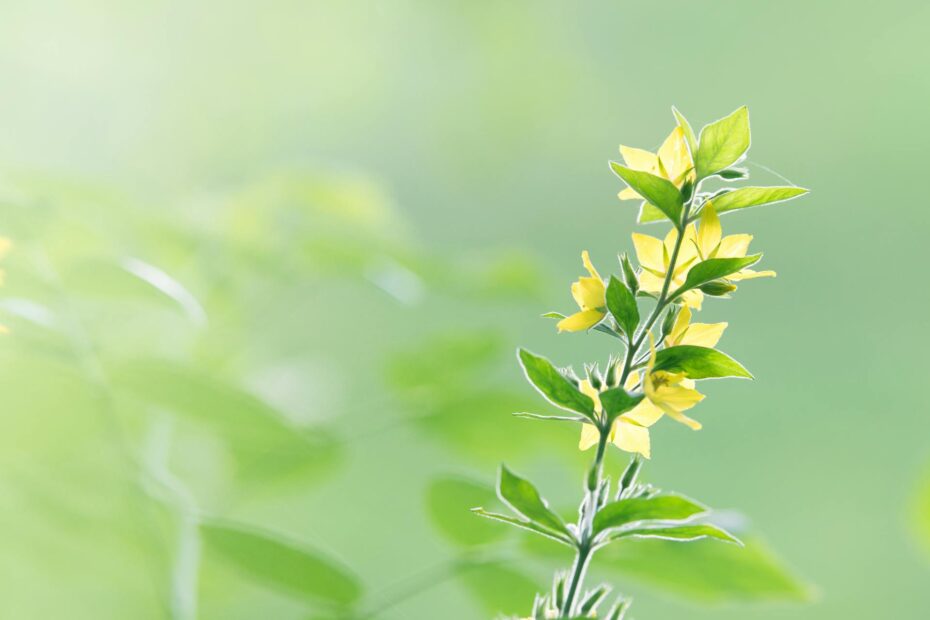 Why Most ESG Reports Are Just Lipstick